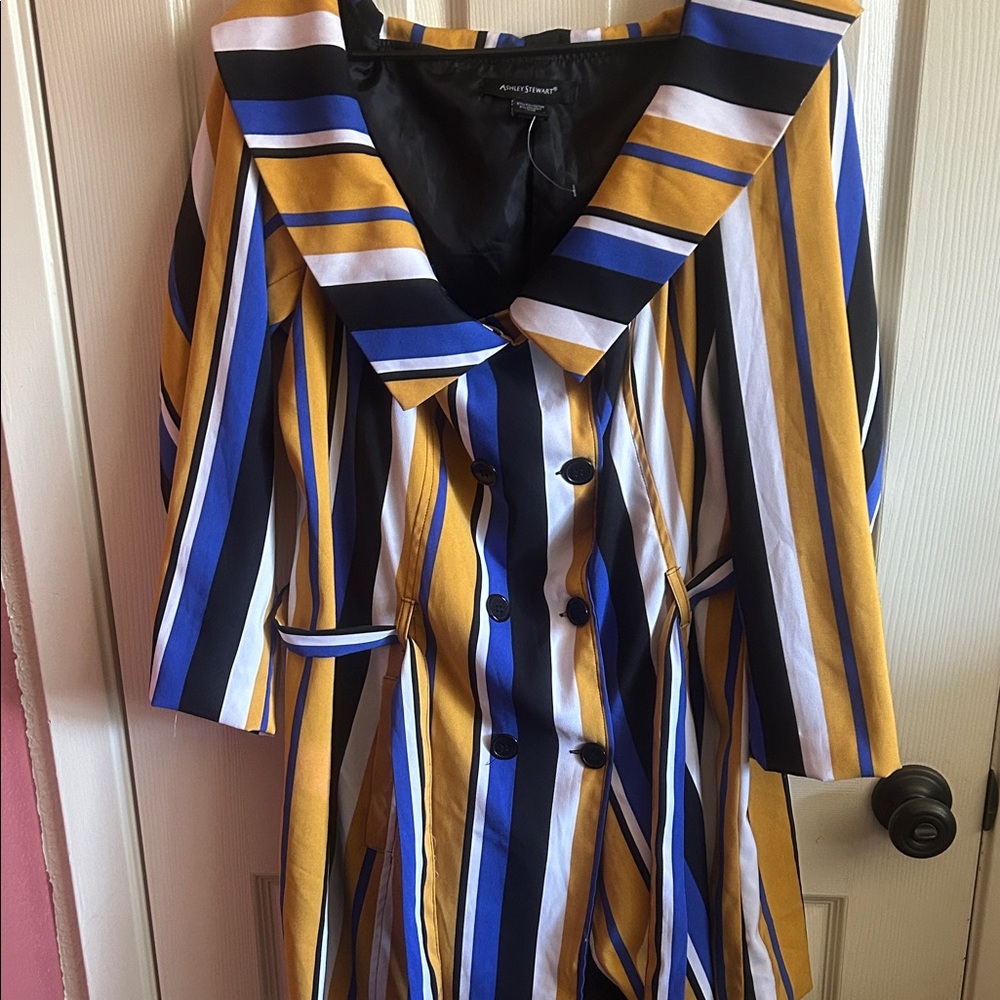 Ashley Stewart Multicolor Striped Coat